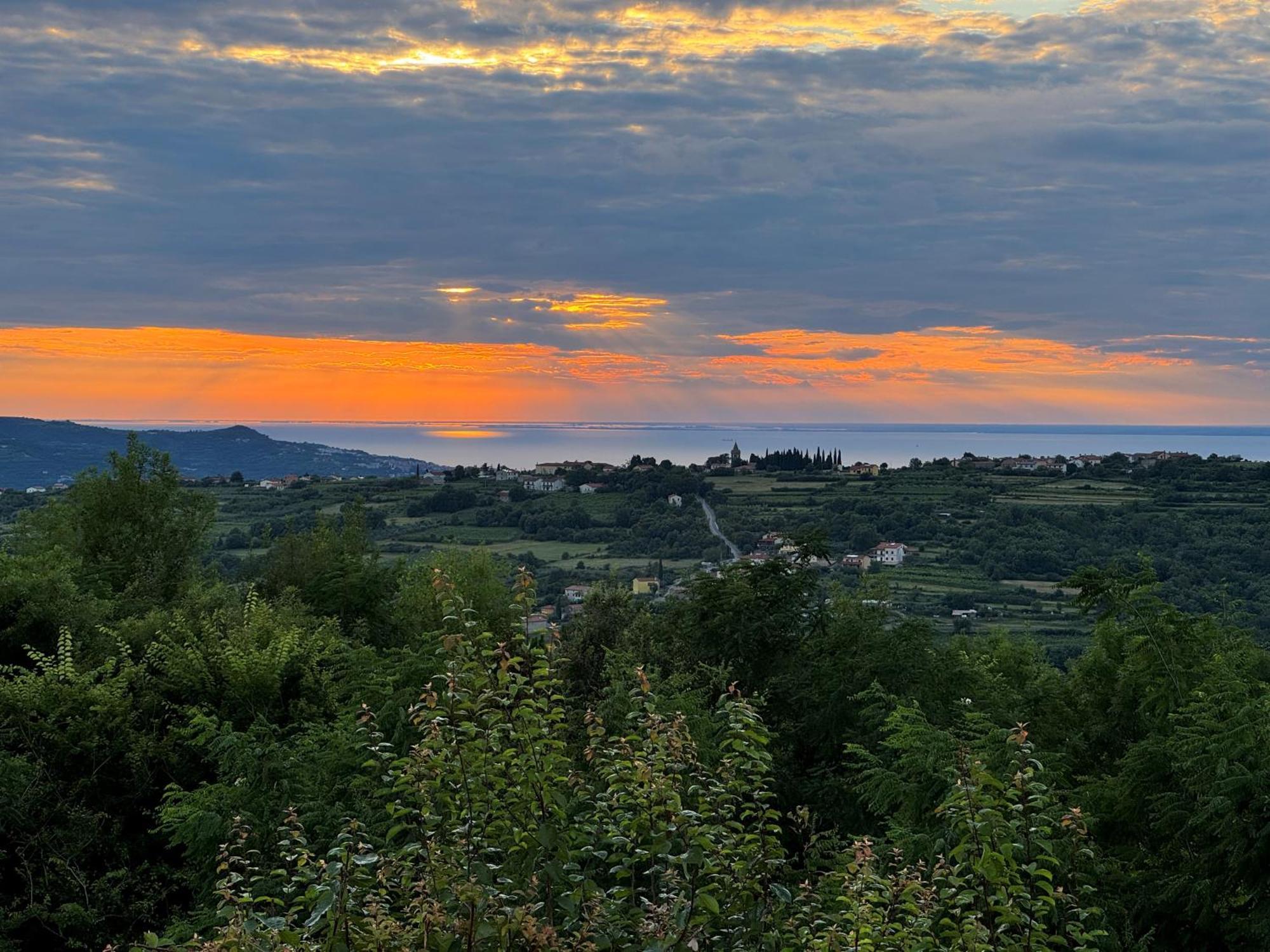 Guesthouse Green Istria Truške Exterior foto