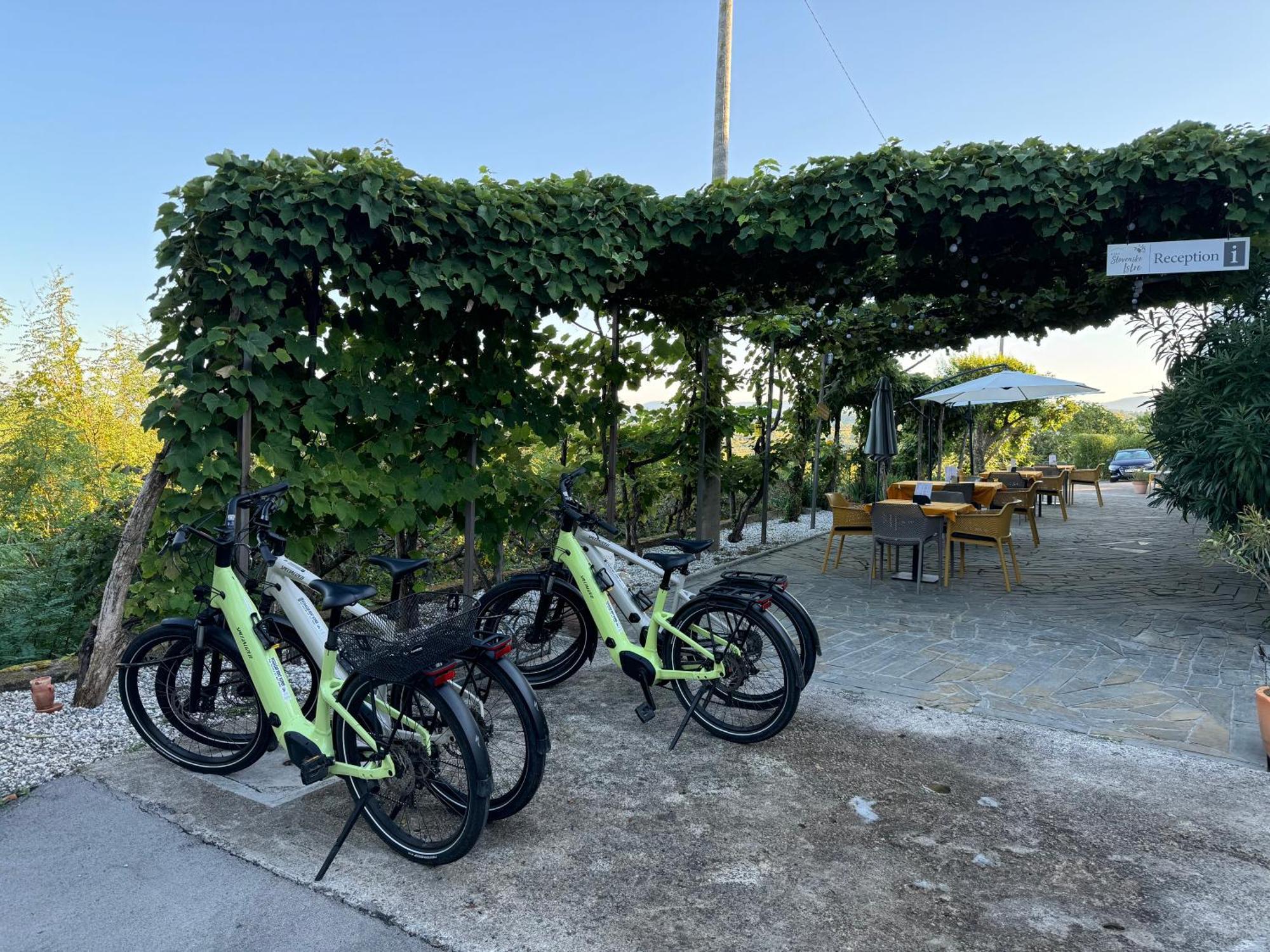 Guesthouse Green Istria Truške Exterior foto